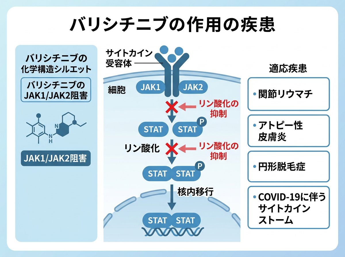 バリシチニブの作用機序と適応疾患