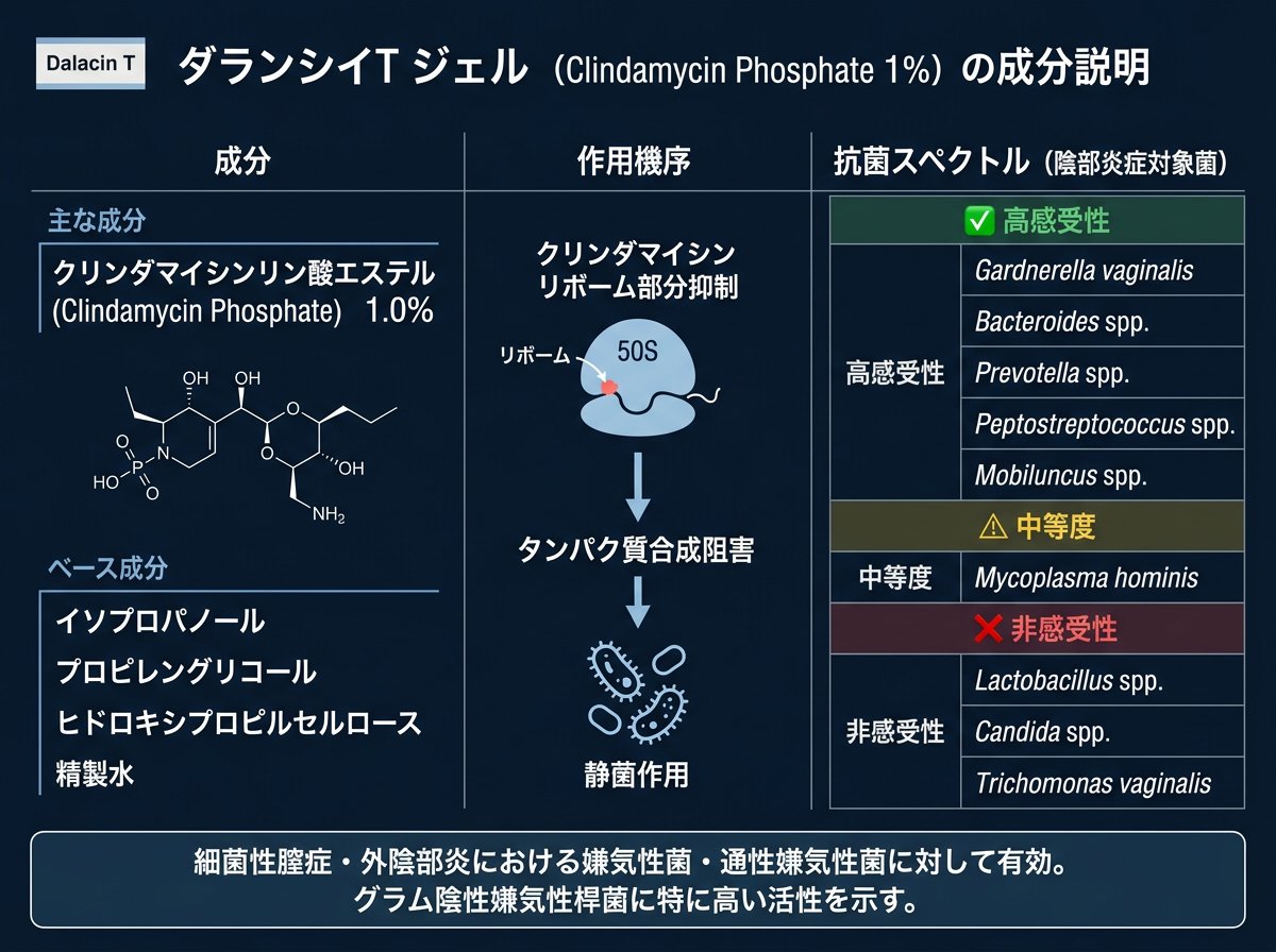 ダラシンtゲルの成分と陰部炎症への抗菌スペクトル