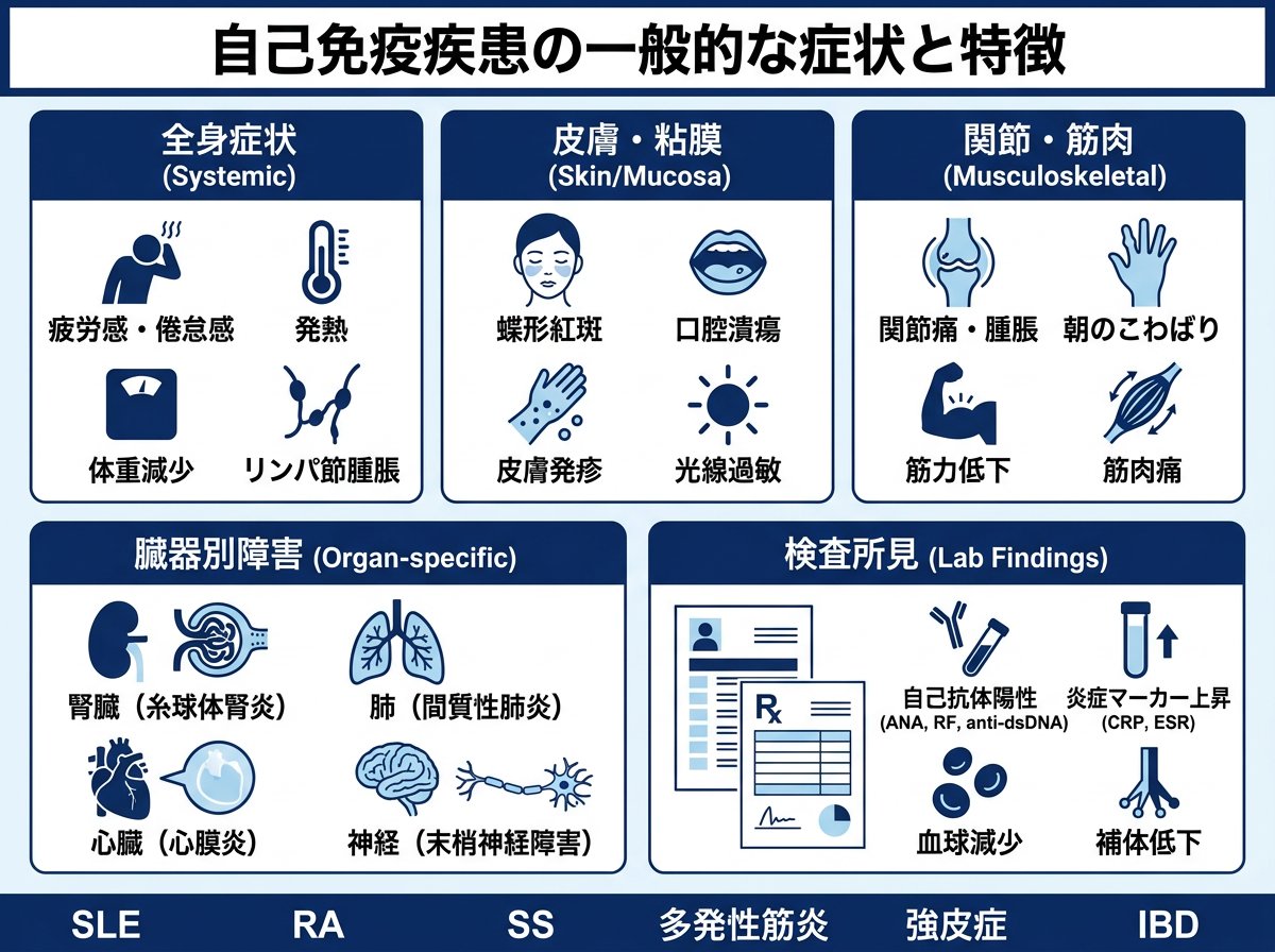 自己免疫疾患の一般的な症状と特徴
