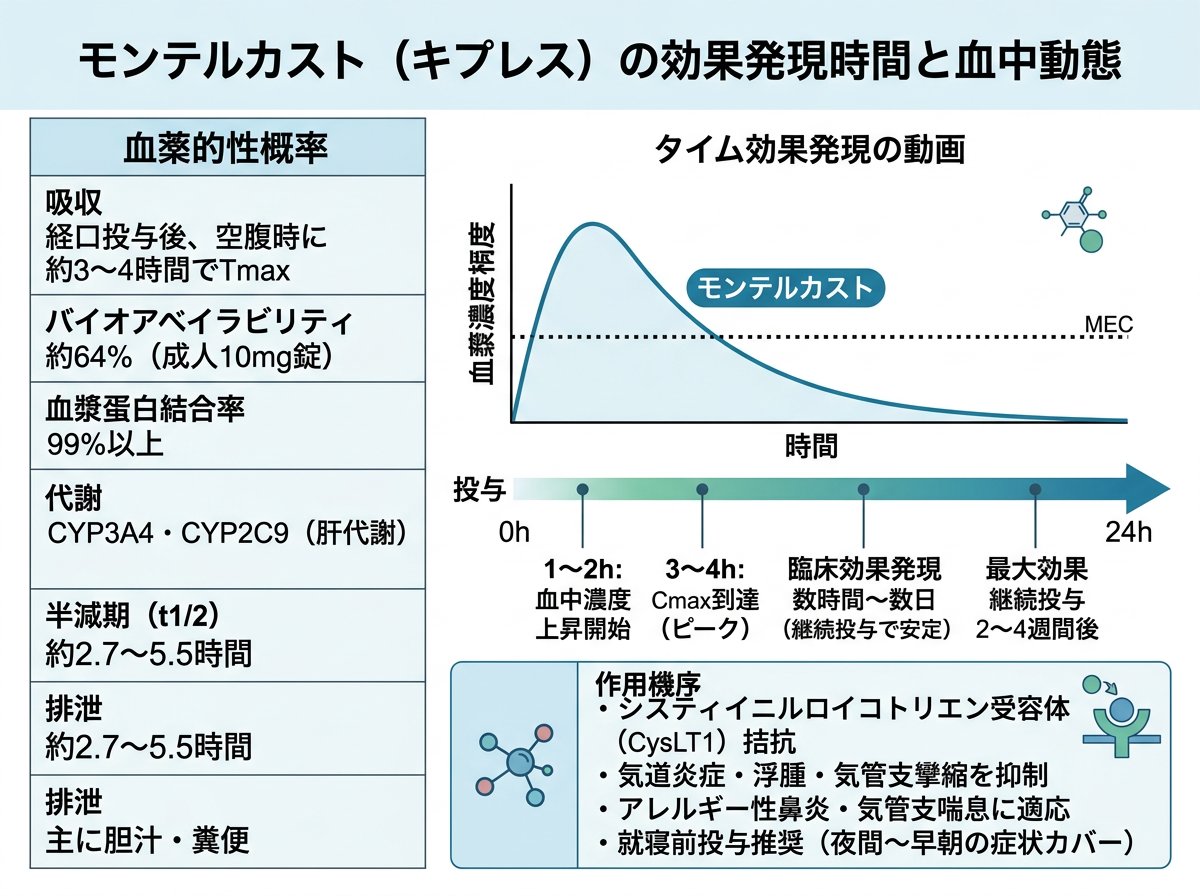 キプレスの効果発現時間と血中動態の基本