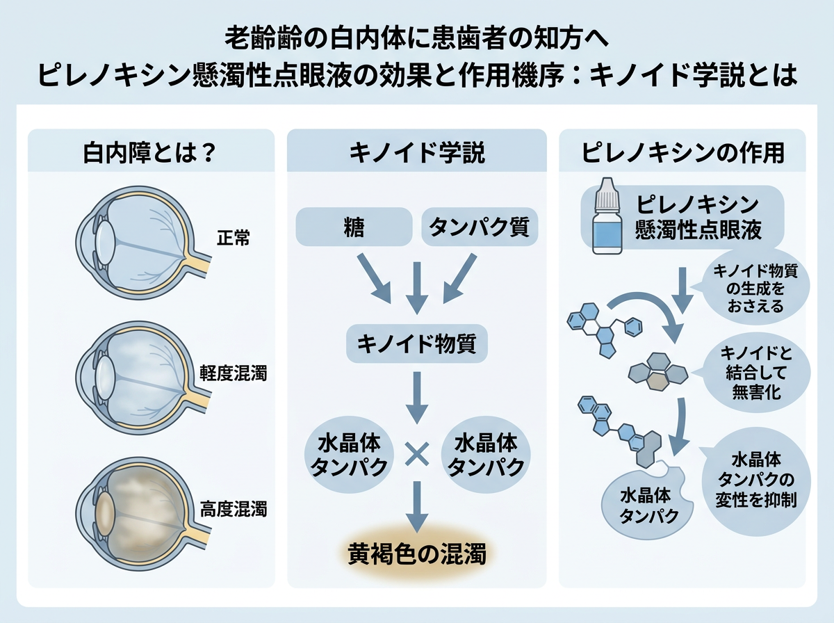 ピレノキシン懸濁性点眼液の効果と作用機序：キノイド学説とは